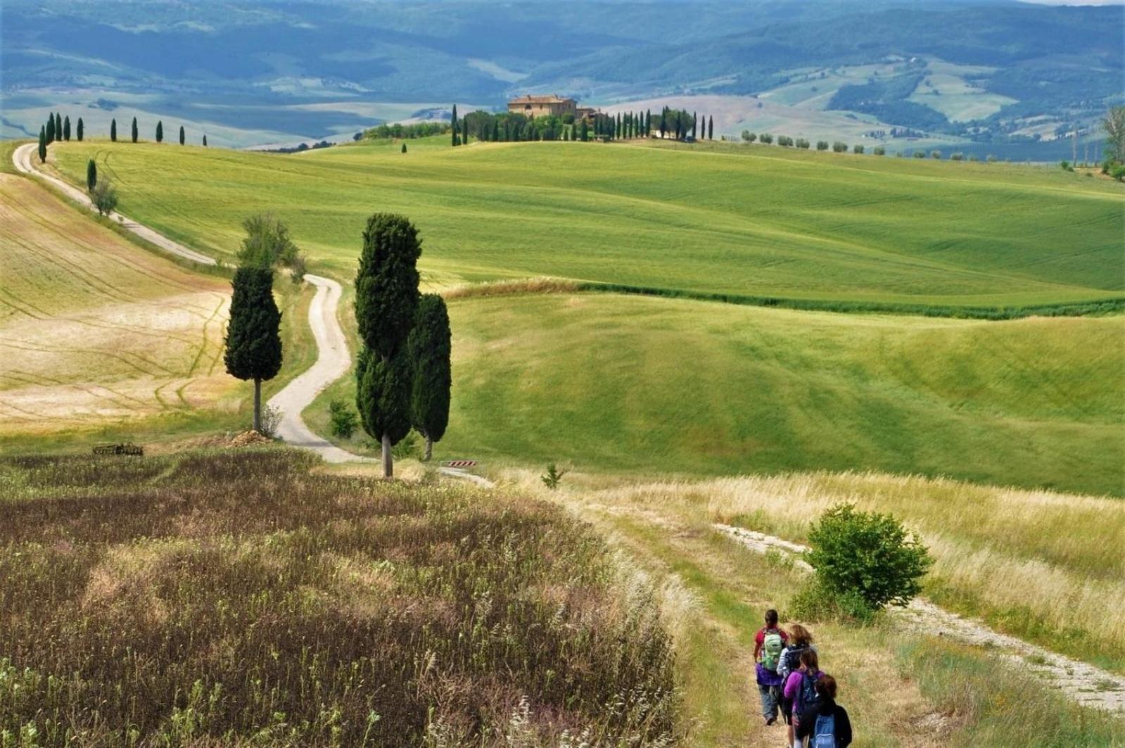 Agriturismo Le Sorbelle D'Orcia Con Piscina Πιέντσα Εξωτερικό φωτογραφία