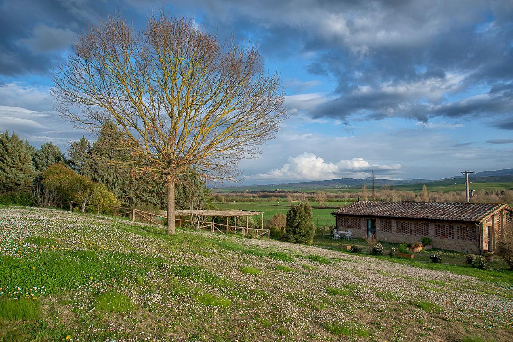 Agriturismo Le Sorbelle D'Orcia Con Piscina Πιέντσα Εξωτερικό φωτογραφία
