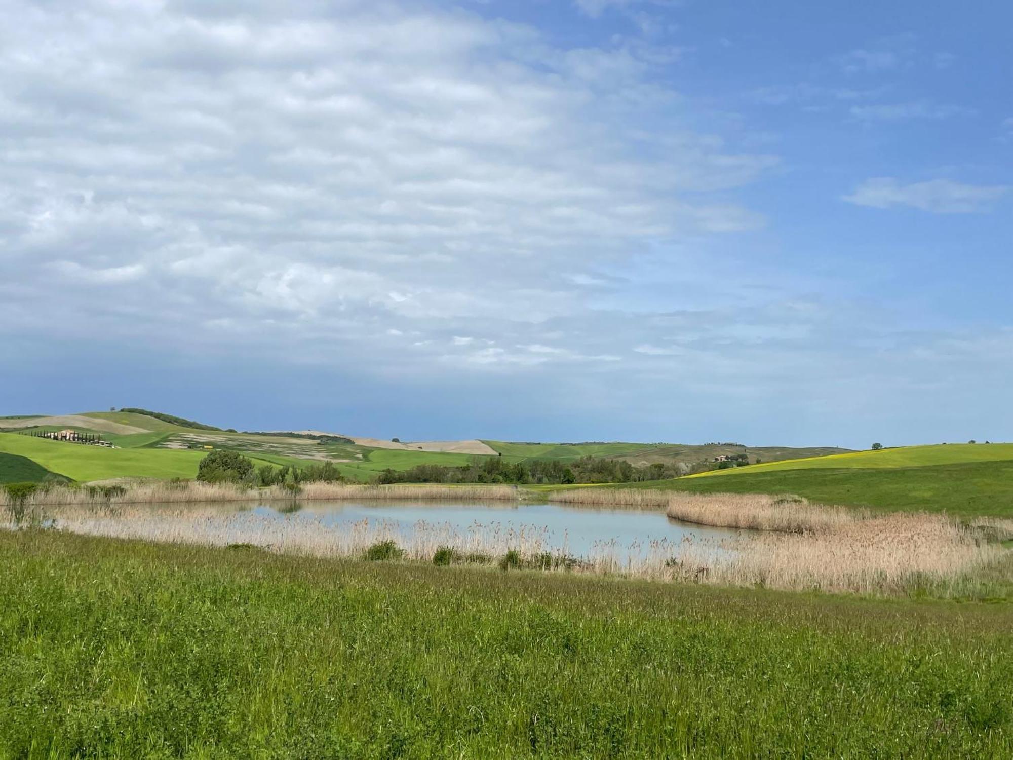 Agriturismo Le Sorbelle D'Orcia Con Piscina Πιέντσα Εξωτερικό φωτογραφία